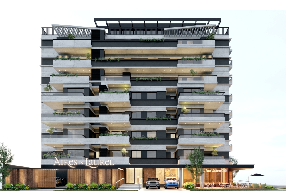 Desarrollo Inversion